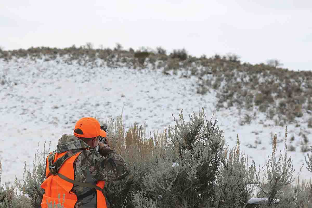 Rolling terrain provided ideal conditions for getting close to deer for a better look.